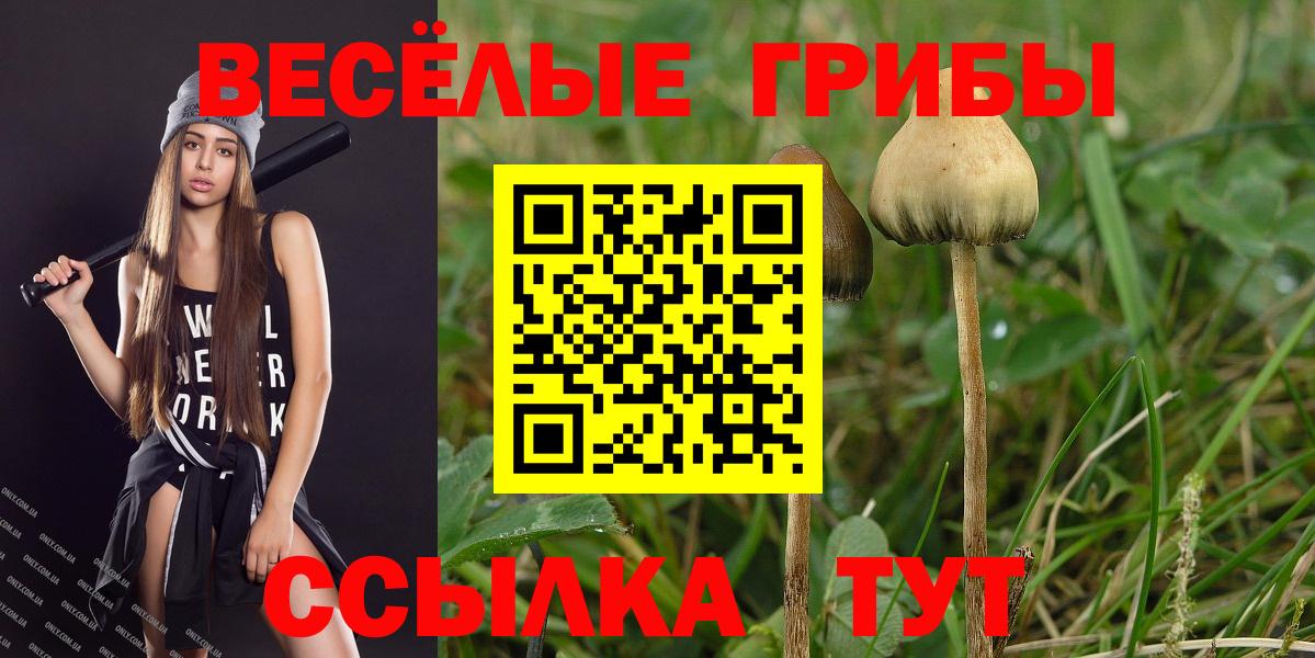 Джанкой  Галлюциногенные грибы Psilocybe  Вход с VPN 